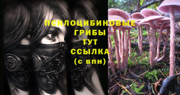ALPHA-PVP Беломорск