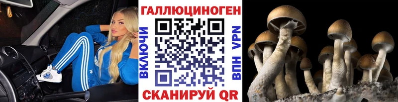 Псилоцибиновые грибы Psilocybe  hydra зеркало  Полесск 