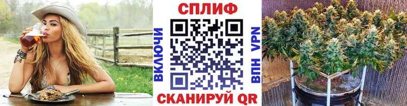 Бошки Шишки план Полесск